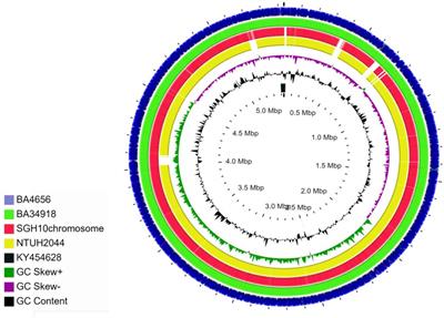 Emergence of Multidrug Resistant Hypervirulent ST23 Klebsiella pneumoniae: Multidrug Resistant Plasmid Acquisition Drives Evolution